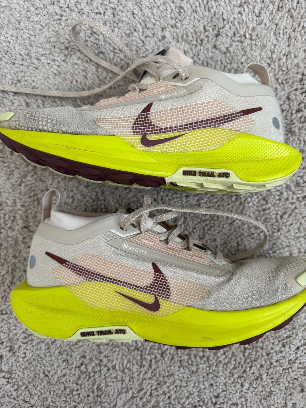 Nike Pegasus Trail 5 GTX